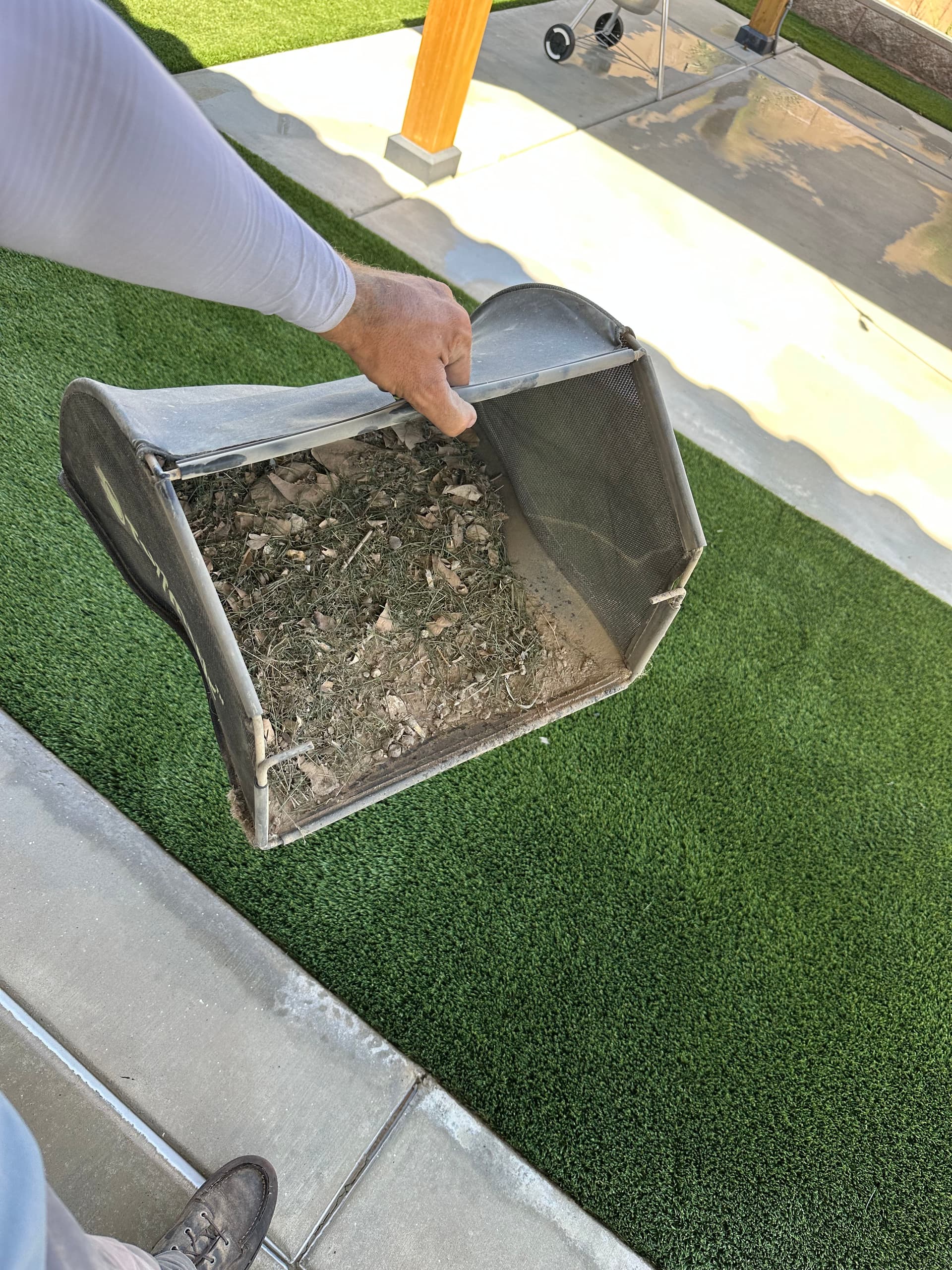 Pet Odor Removal and Turf Sanitizing in Cielo Verde