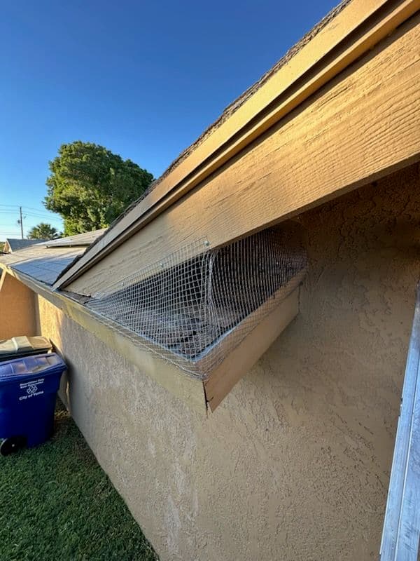 Effective Birdproofing in Yuma Arizona