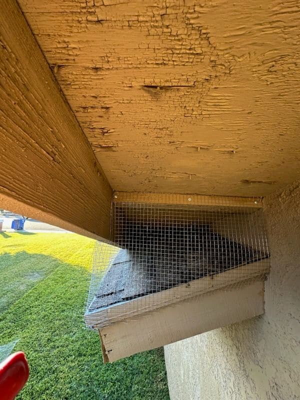 Effective Birdproofing in Yuma Arizona