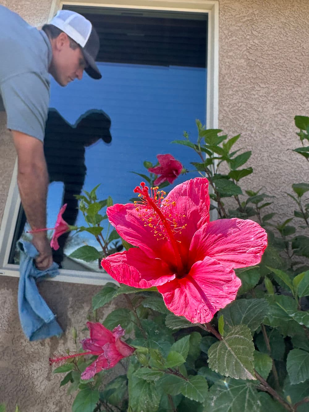 Infill Renewal image