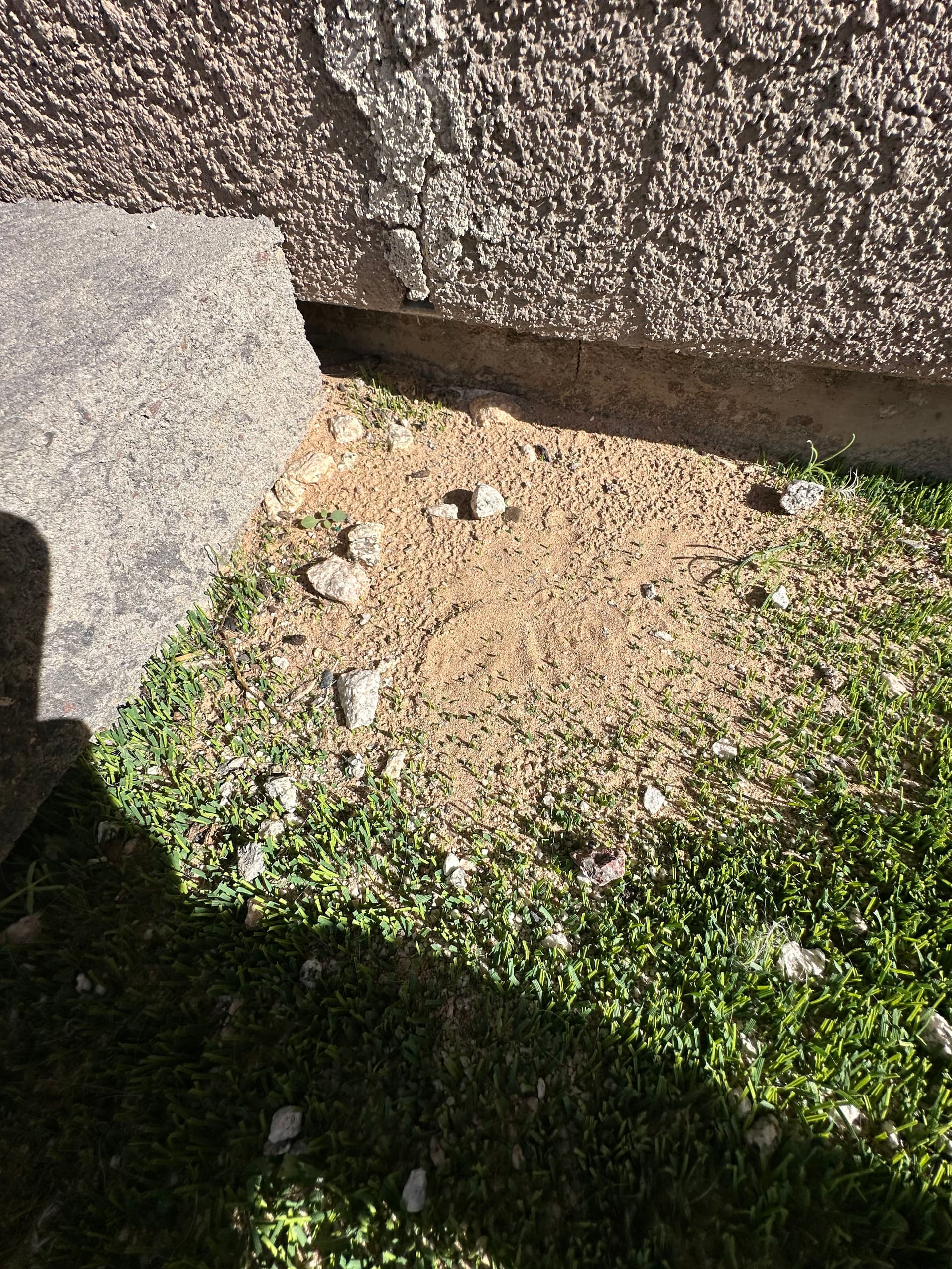 Gallery photos for Artificial Turf Transformation with ShineTech Cleaning in Yuma: Image #6